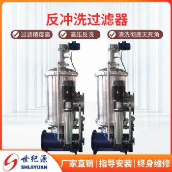 自清洗过滤器 全自动过滤器 反冲洗过滤器