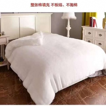 被芯 被子 夏被四季被 可洗羽丝绒被芯