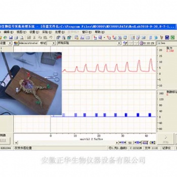 机能虚拟实验室生理虚拟实验室