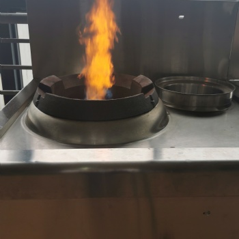 现大力发展环保燃料替代液化气 颗粒燃料