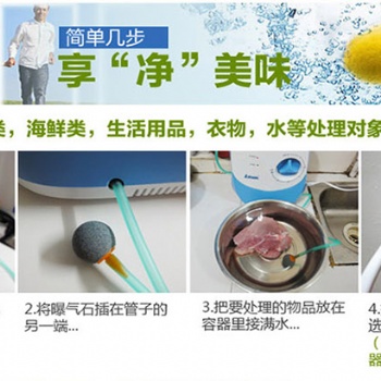 多功能果蔬净化器 活氧机 臭氧机 瓜果蔬菜机 空气器