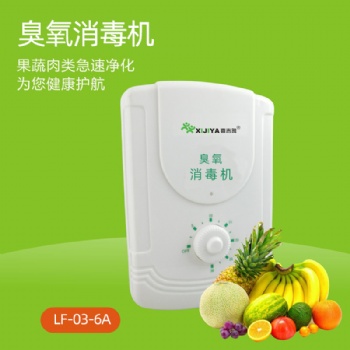 空气消毒机家用臭氧机水果蔬菜多功能家用解毒机净化器