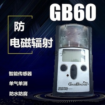 美国英思科GB60单一氧气检测仪氧气浓度 硫化氢气体检测仪现货代理商