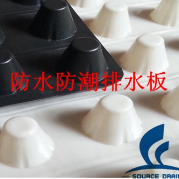 HDPE塑料排水板东营块状排水板工厂