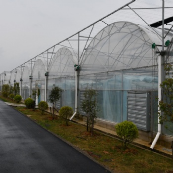 建达JD 蔬菜种植大棚 花卉大棚 连栋大棚厂家