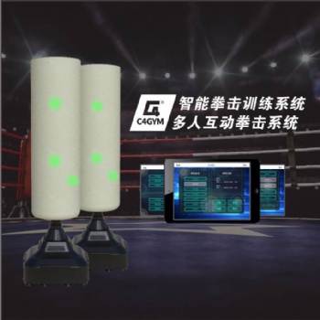 智能拳击靶多人拳击训练系统减脂健身房器材体育教学器材