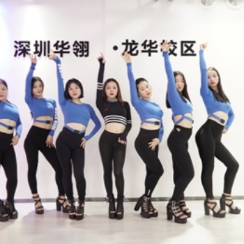 .我想学舞蹈去酒吧表演，深圳哪家舞蹈教学专业
