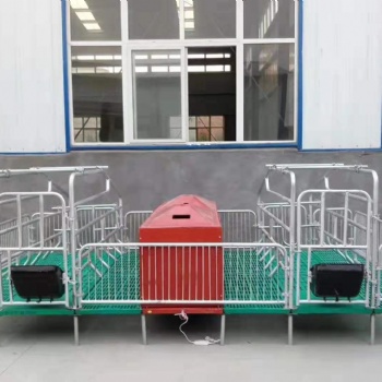 定做母猪产床猪用复合板单双体分娩床保育床两用定位栏养猪设备