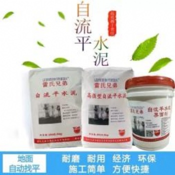 雷氏兄弟新型环保自流平水泥