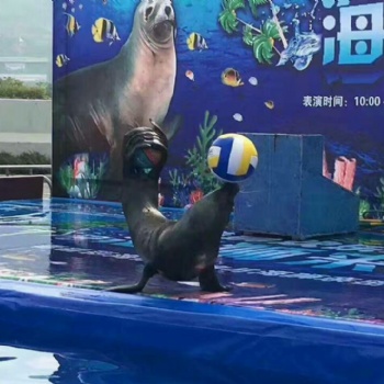 海洋生物展全国出租出售