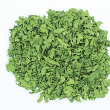 脱水菠菜叶 菠菜叶 干菠菜 厂家 广东东莞