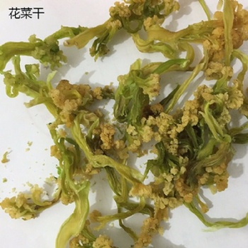脱水花菜干 松花菜 凉菜必备 餐桌佳品 脱水蔬菜 厂家 琦轩食品