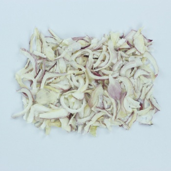 脱水洋葱片 大西北洋葱 脱水蔬菜 琦轩食品 厂家