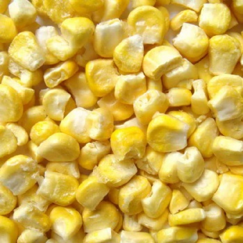 脱水玉米 FD玉米 脱水蔬菜 琦轩食品