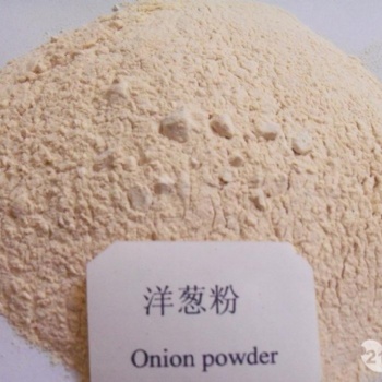 洋葱粉 调味品香辛料 大西北洋葱 实力厂家 琦轩食品 广东东莞
