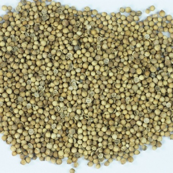 芫荽粉 香菜籽粉 实力厂家 调味品香辛料 厂家 琦轩食品 广东东莞