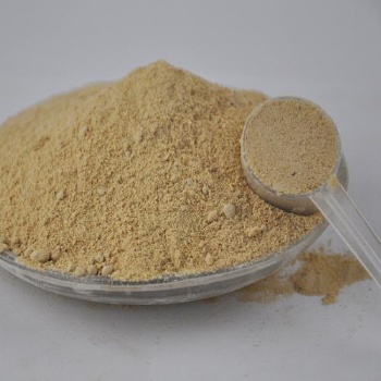 党参粉 调味品香辛料 量大优惠 厂家 琦轩食品