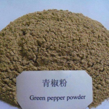 青辣椒粉 调味品香辛料 实力厂家 琦轩食品 广东东莞