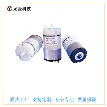深圳龙壹供应电动吸奶器真空泵静音迷你型隔膜气体采集泵520可定制