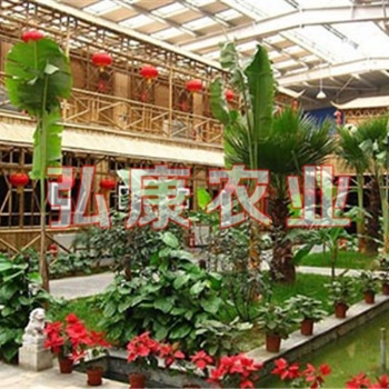 青州市弘康温室生态餐厅