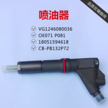 P型 喷油器总成厂家