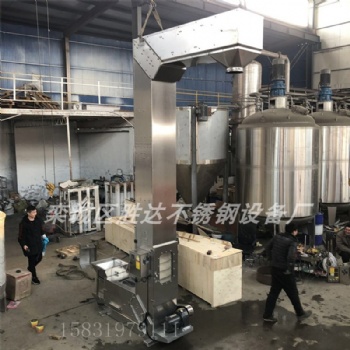 化工Z型斗式输送机色选机配套提升机