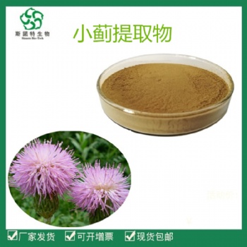 小蓟** 小蓟速溶粉 厂家包邮 量大从