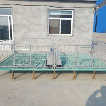 养猪设备 小猪保育床 仔猪保育床