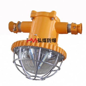 温州DGS24/127L(A)隔爆型LED巷道灯矿用防爆灯
