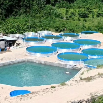 圆形镀锌板帆布养鱼池 便捷帆布水池圆桶养殖篷布订做水池