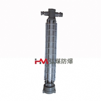 温州 DGS20/127L（A）防爆巷道灯 矿用隔爆型LED巷道灯