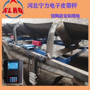 宁力电子皮带秤NL200