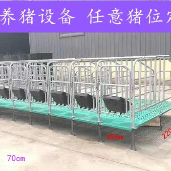 限位栏 母猪限位栏 畜牧养殖机械设备