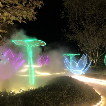 贵州黔东南梦幻灯光展造型出租厂家LED灯光节造型出租