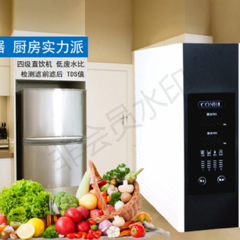 厦门康倍尓直饮机净水器