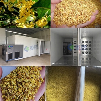 桂花烘干机#广州金凯空气能烘干设备#烘干除湿一体机。