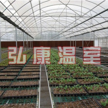 青州弘康育苗连栋温室