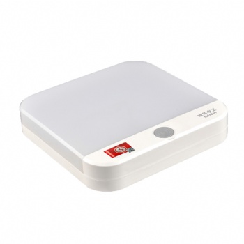 敏华A型集电集控智能应急消防方形简约大型吸顶灯M-ZLJC-E12W6065
