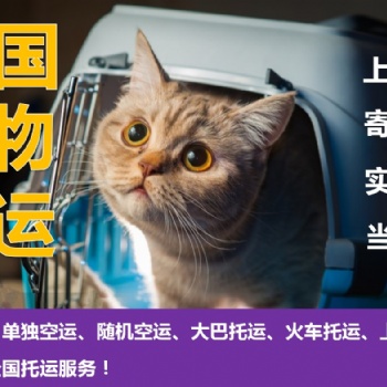 宠物单独航空运输、宠物汽运、宠物大巴托运、宠物专车托运、上门接送
