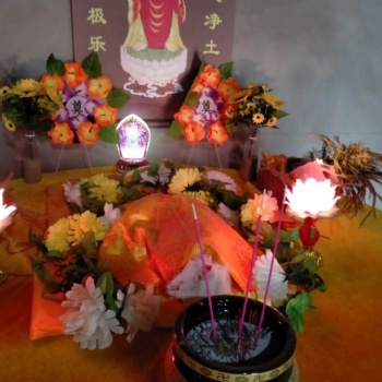 杭州念尼噢宠物火化殡葬服务，24小时上门接，距离近，口碑好