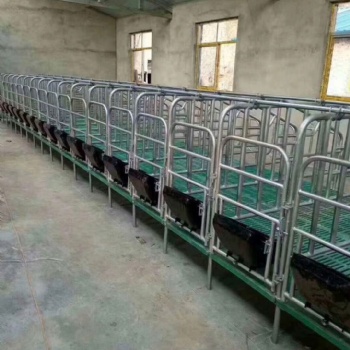 母猪限位栏定位栏带漏粪板猪用养猪场设备复合板配件产床保育两用