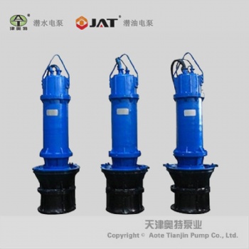 污水处理大型雨水排污泵_使用注意事项_安装