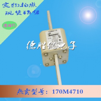 巴斯曼熔断器 170M4710 现货全新 量多可询