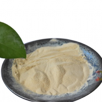 供应生物培养基原料水解酪素