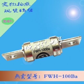 巴斯曼熔断器 FWH-100B 现货全新 量多供应