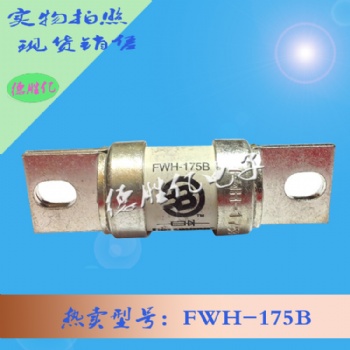 巴斯曼熔断器 FWH-175B 量多全新供应 可询
