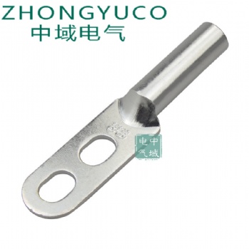 双孔铜鼻子DT双孔铜线鼻子DT2-50双眼铜鼻子接线端子接线耳全新紫铜料生产