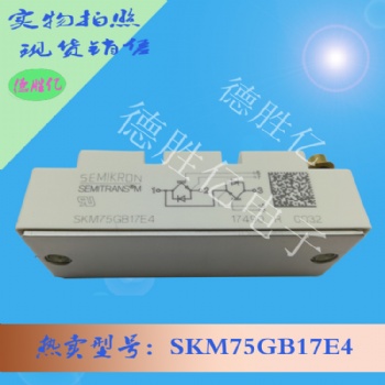 德国西门康IGBT模块 SKM75GB17E4 欢迎询购
