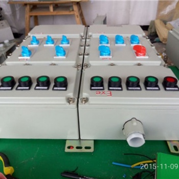 BXD51-6K防爆动力配电箱