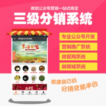 新时代的商城分销代理模式，二级分销系统，高端定制